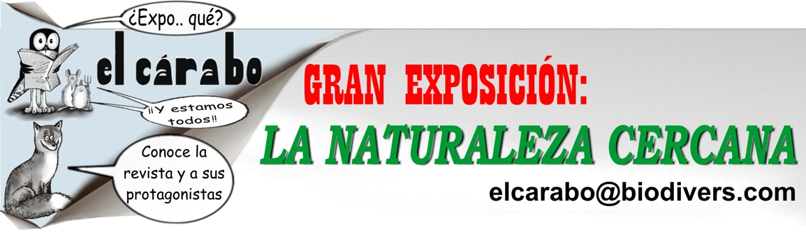 Exposición La naturaleza cercana